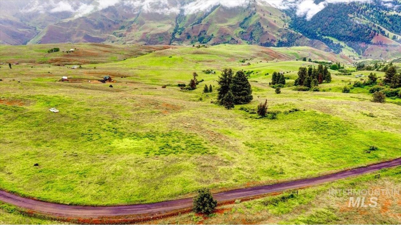 263 Cougar Ct, Pollock, ID 83547