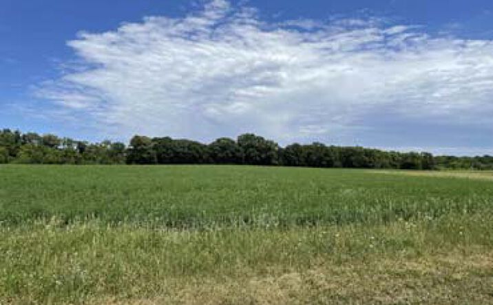 Pictures of Land property located at Lot 8 Parkway Avenue, Elkhart, IN 46516 for sales - image #1