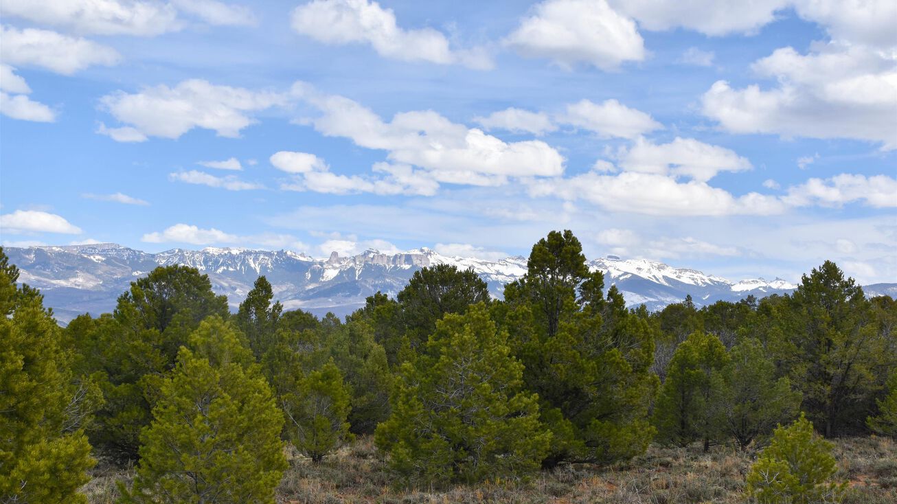 (Tract 28) Ponderosa Drive, Ridgway, CO 81432