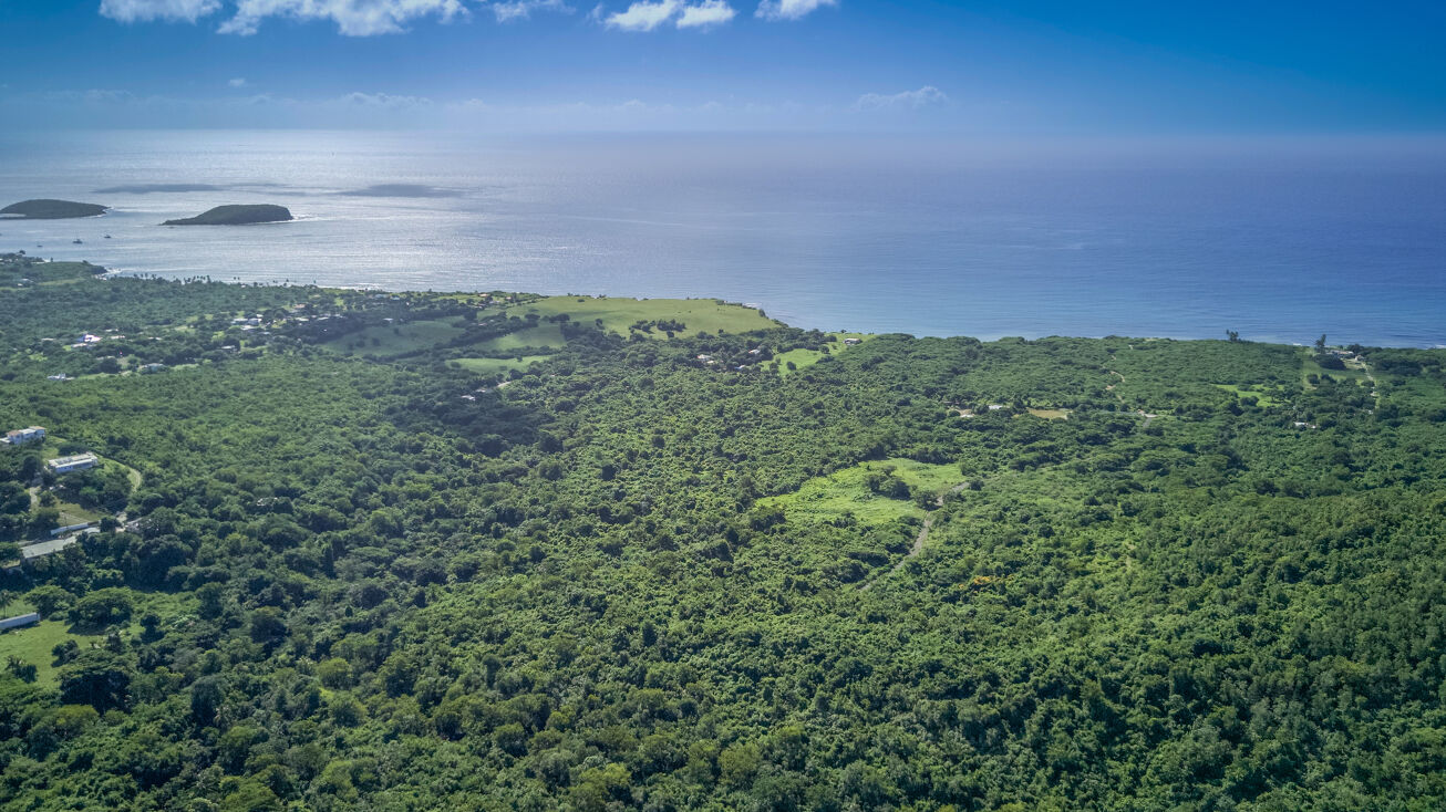 West & Interior of Km 3.8 of State Road PR201, NA, PR 00000 Land for