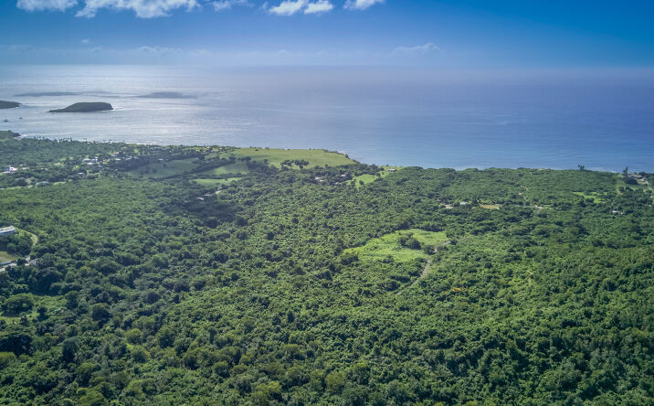 Pictures of Land property located at West & Interior of Km 3.8 of State Road PR-201, NA, PR 00000 for sales - image #1