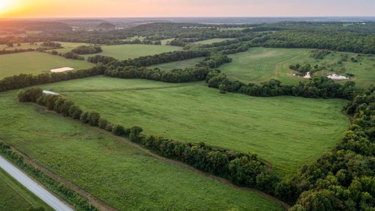 Archie Mo Homes For Sale at Rachael Flynn blog