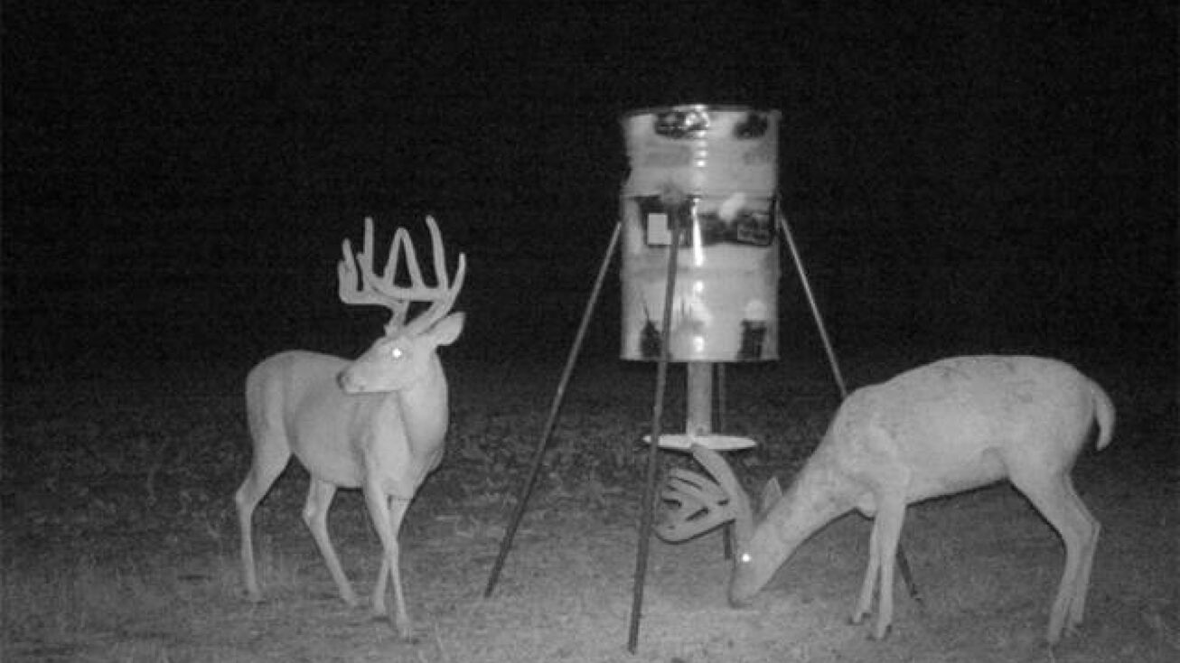 00 Oxen Road, Leroy, KS 66857 Special Purpose Property for Sale 00