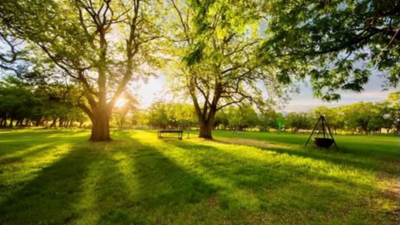 Henry Mountains, Henrieville, UT 84736