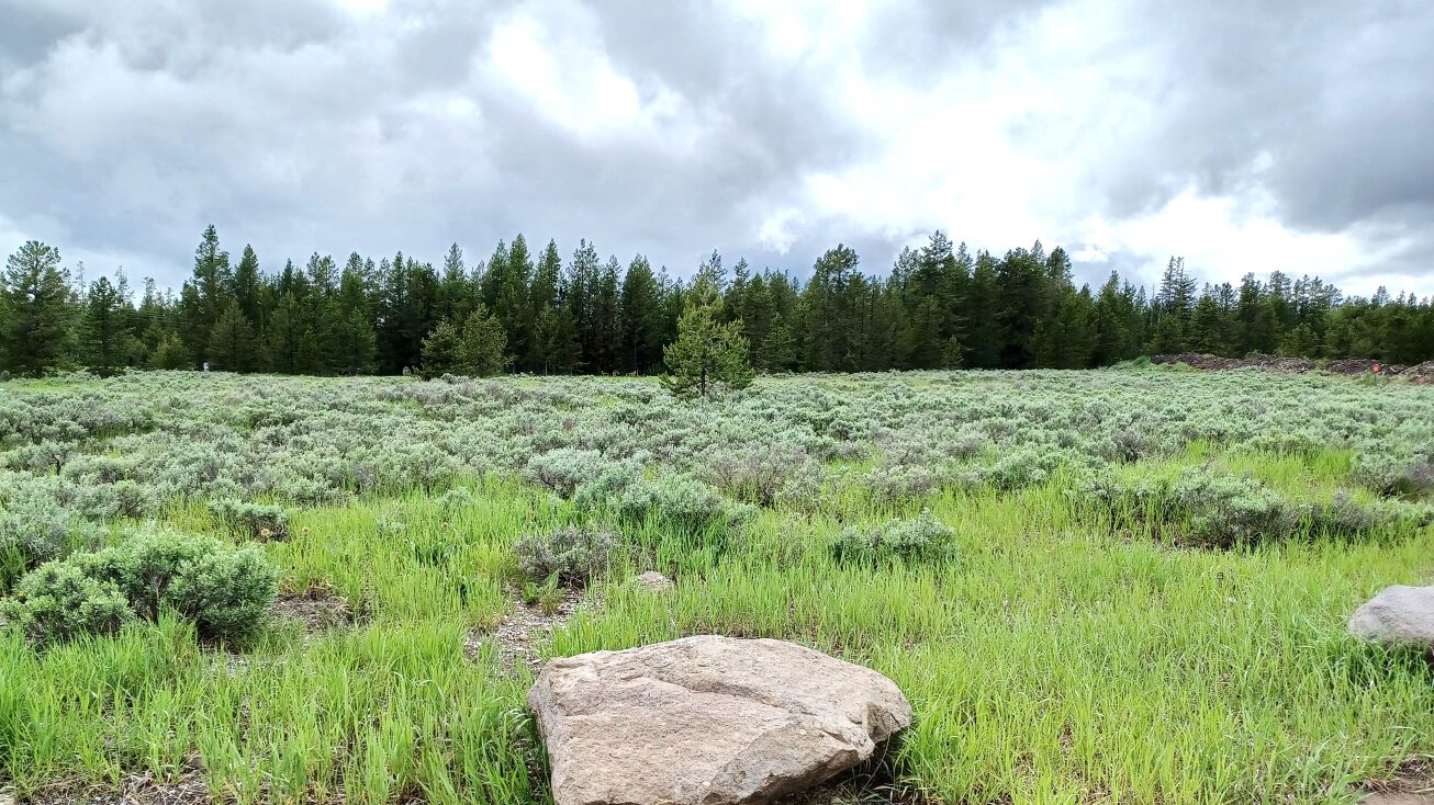 Yale Kilgore Rd, Island Park, ID 83429 Land for Sale TBD Yale