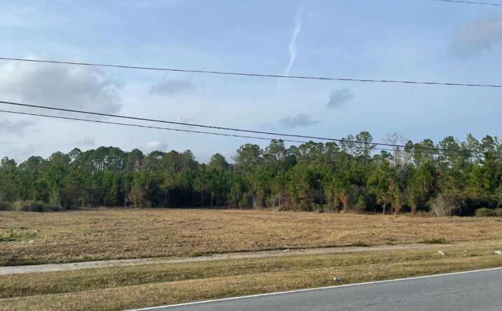 Pictures of Land property located at 782 SW Sisters Welcome Rd, Lake City, FL 32025 for sales - image #1