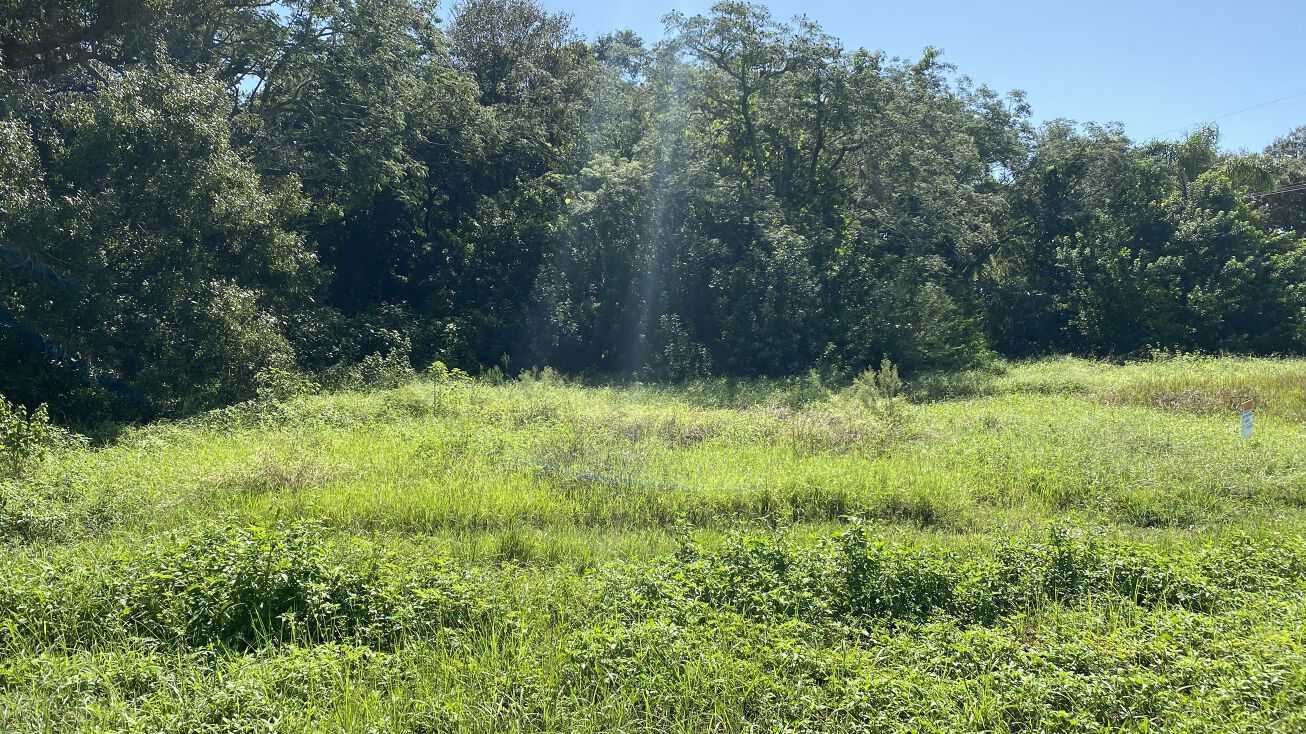 US17, Zolfo Springs, FL 33980