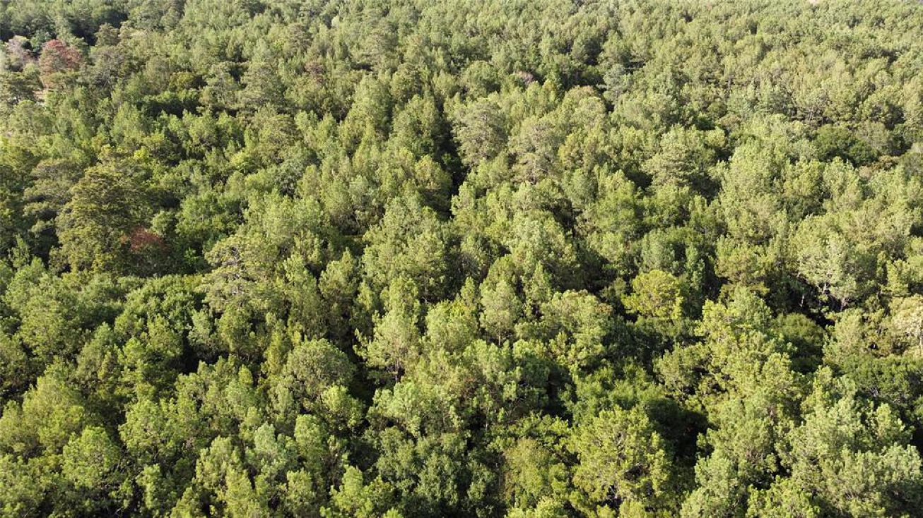 27072 Riley Rd, Waller, TX 77484