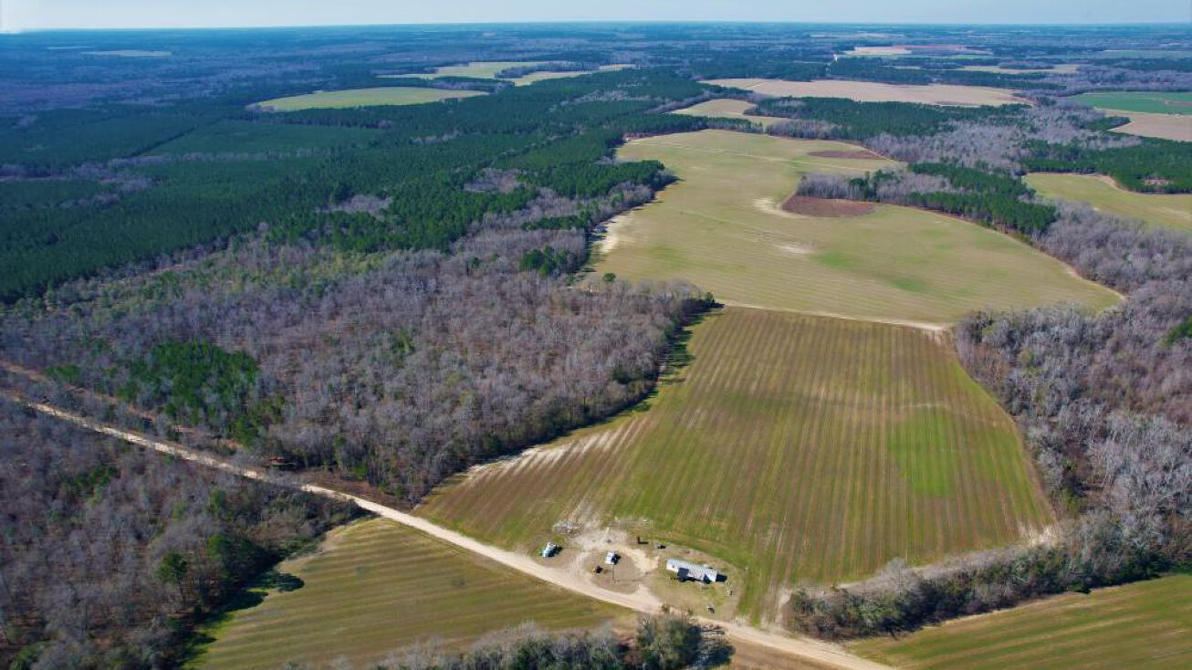 Highway 205, Midville, GA 30441