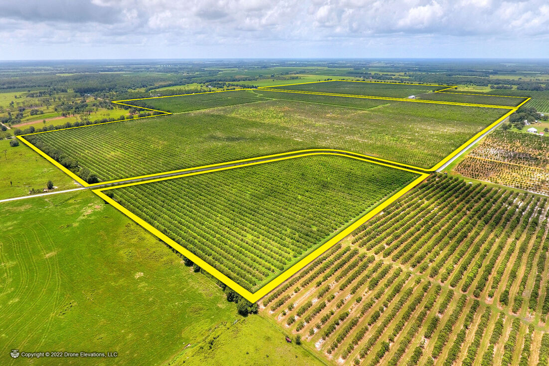 5015 Fish Branch Rd, Zolfo Springs, FL 33890 Land for Sale Fish