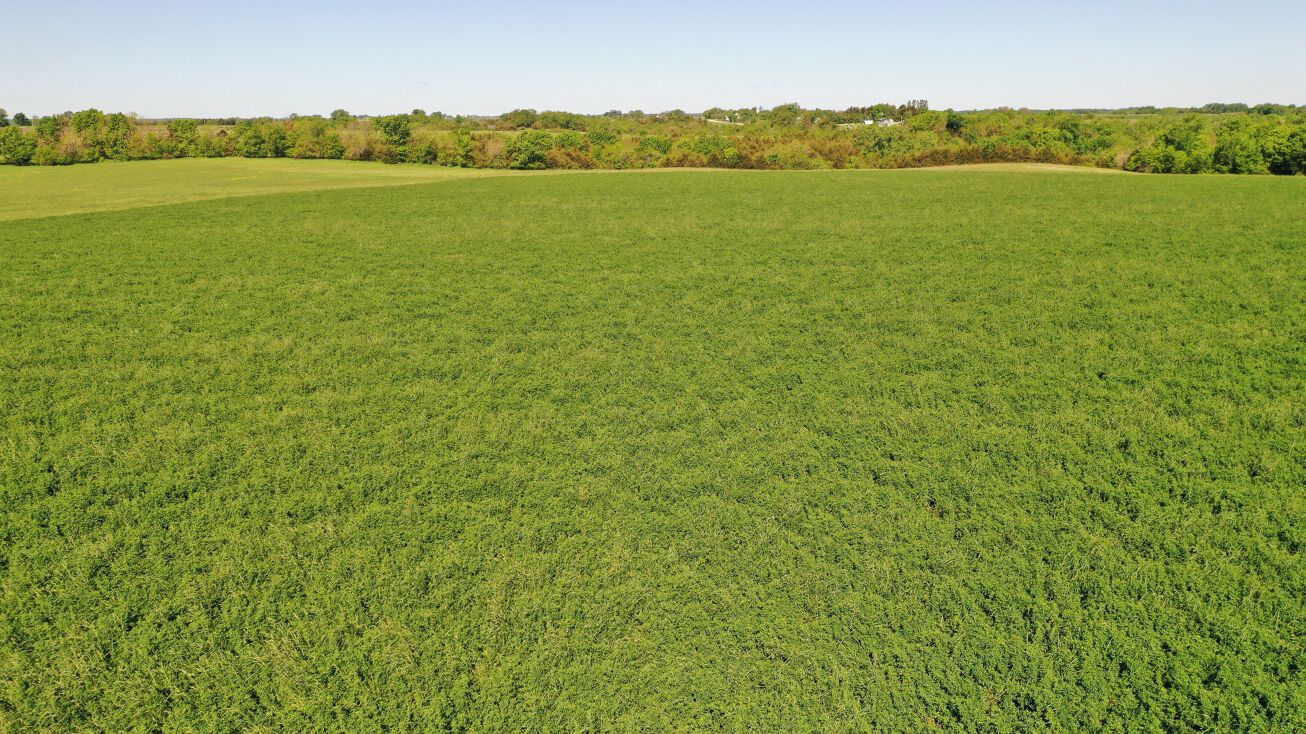 Truro Pavement, Osceola, IA 50213