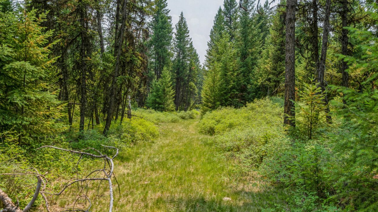 Nhn Meadow Creek Road, Fortine, MT 59918