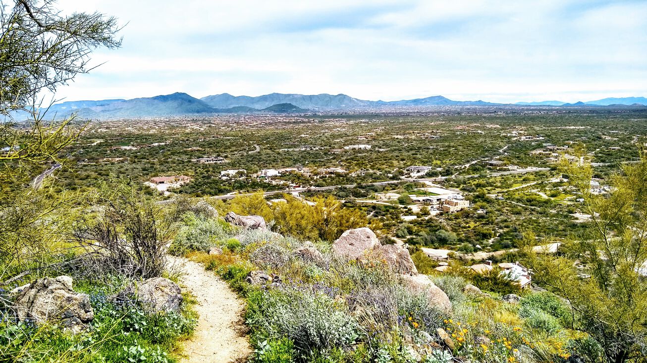 8035 E Lone Mountain Rd, Scottsdale, AZ 85266