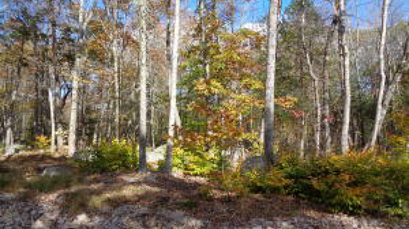 Lot 7 Manhattan Way, Ellsworth, ME 04605