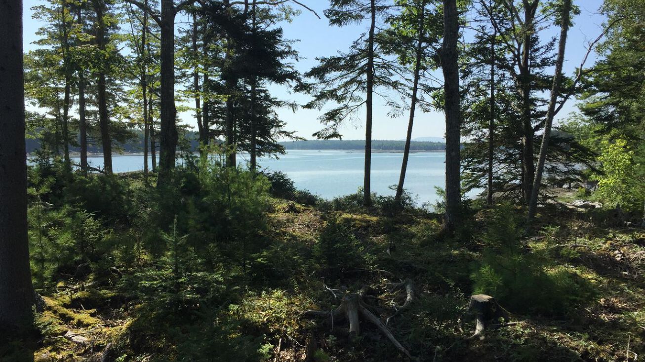 635 & 36 Falcon Lane, Lamoine, ME 04605