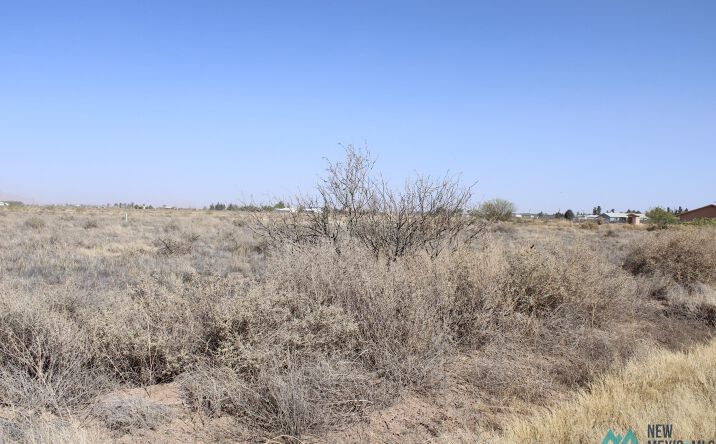 Jonquil Rd SE, Deming, NM 88030 - Land for Sale - Jonquil Road