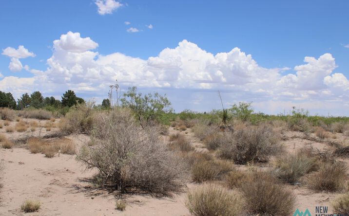 Pictures of Land property located at Tomorrow Land Estates, Deming, NM 88030 for sales - image #1