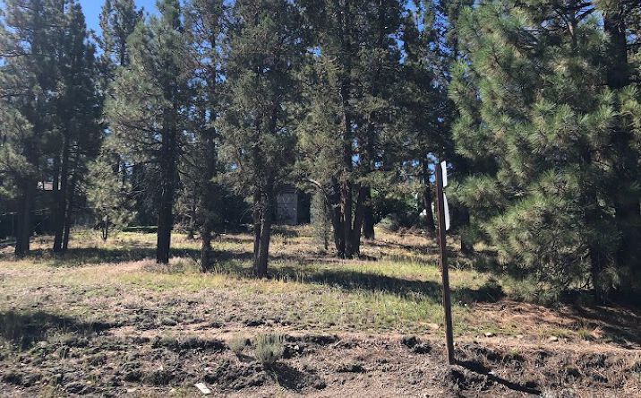 0 Bear Loop, Big Bear, CA 92314 - Land for Sale - 0 Bear Loop