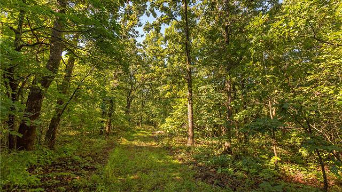 000 Private Drive, Cole Camp, MO 65325