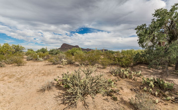 Pictures of Land property located at 7267 N Lydia Ave, Tucson, AZ 85743 for sales - image #1