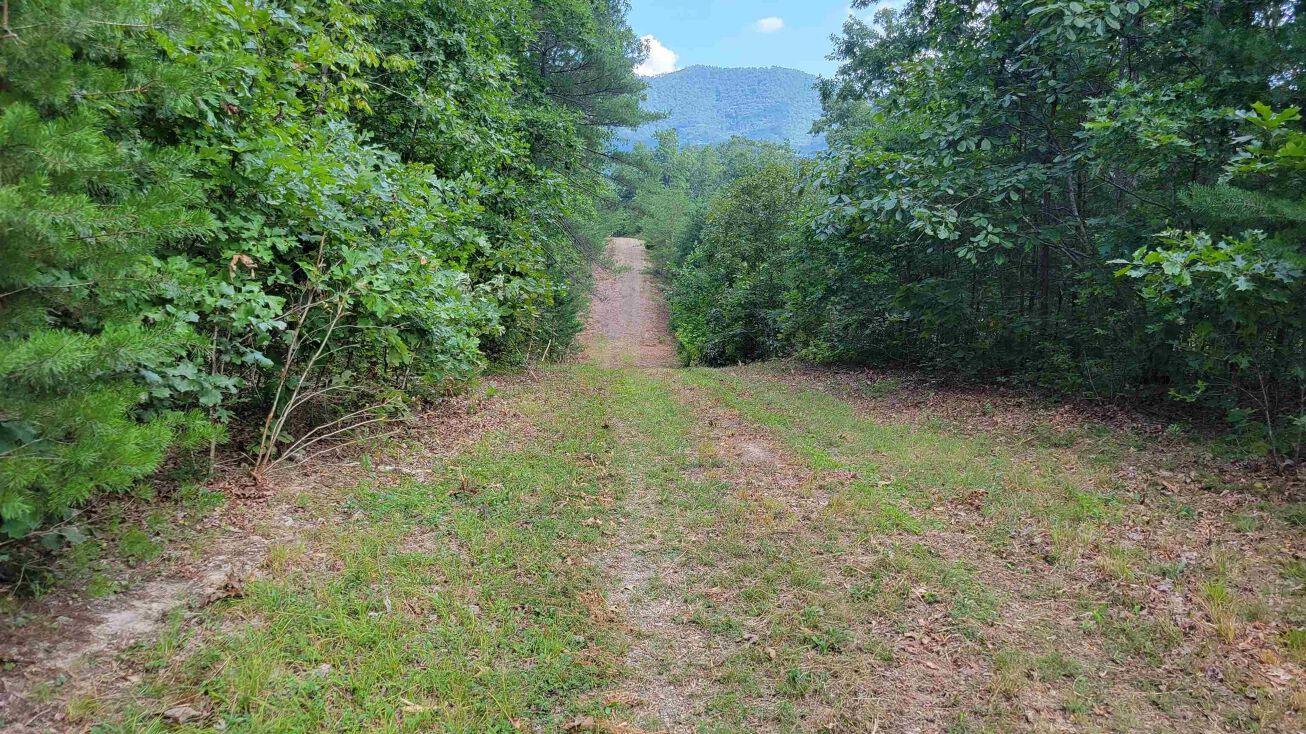 TBD Bradshaw Road, Elliston, VA 24087