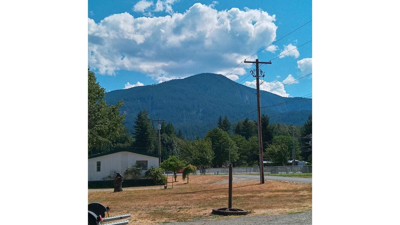 114 Edmonds Rd, Packwood, WA 98361