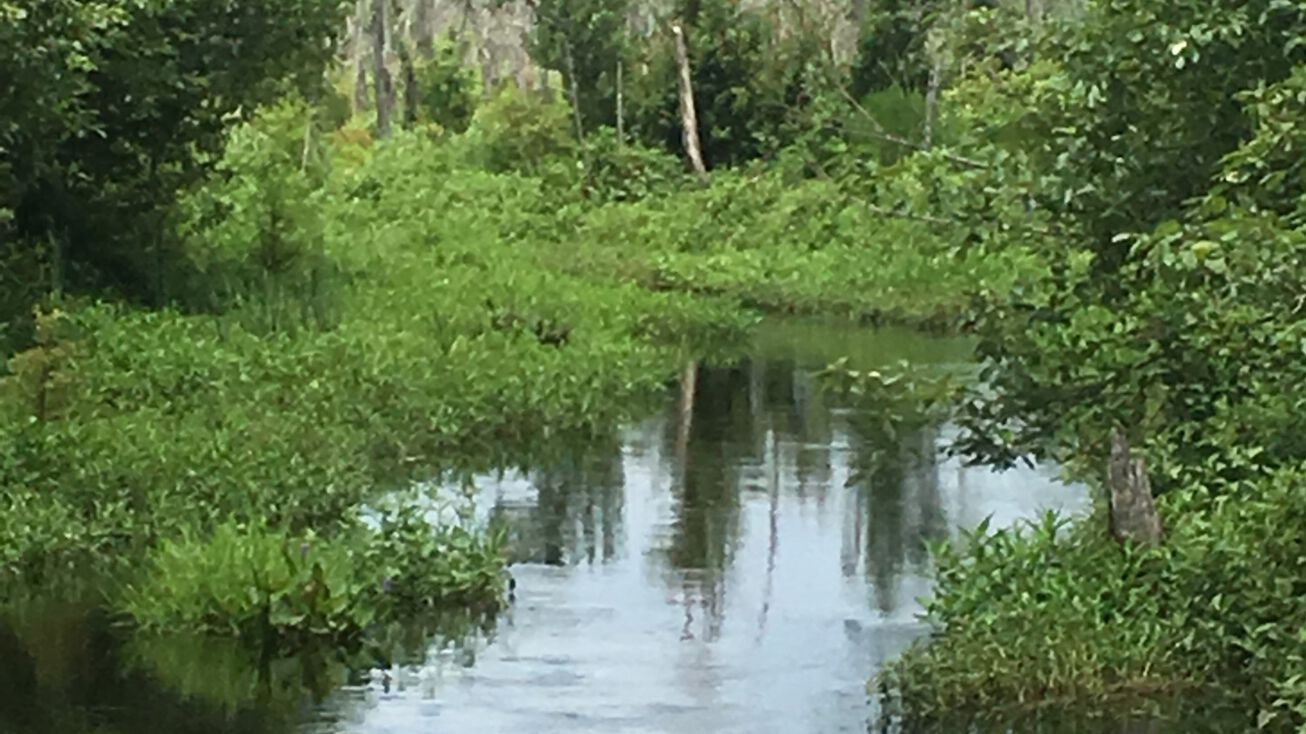 3200 East Brewington Road, Sumter, SC 29150 Land for Sale