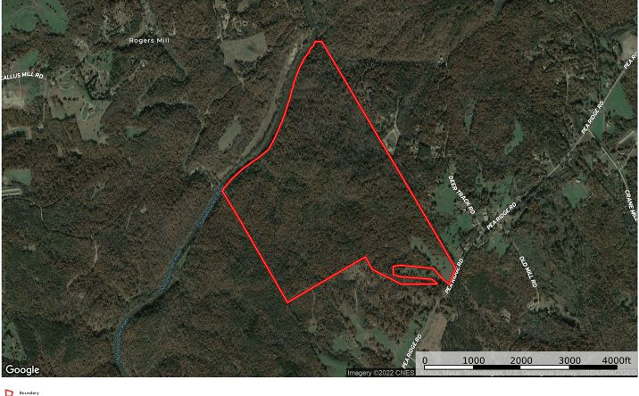Pictures of Land property located at 300 Acres on Pea Ridge Rd, Lula, GA 30554 for sales - image #1