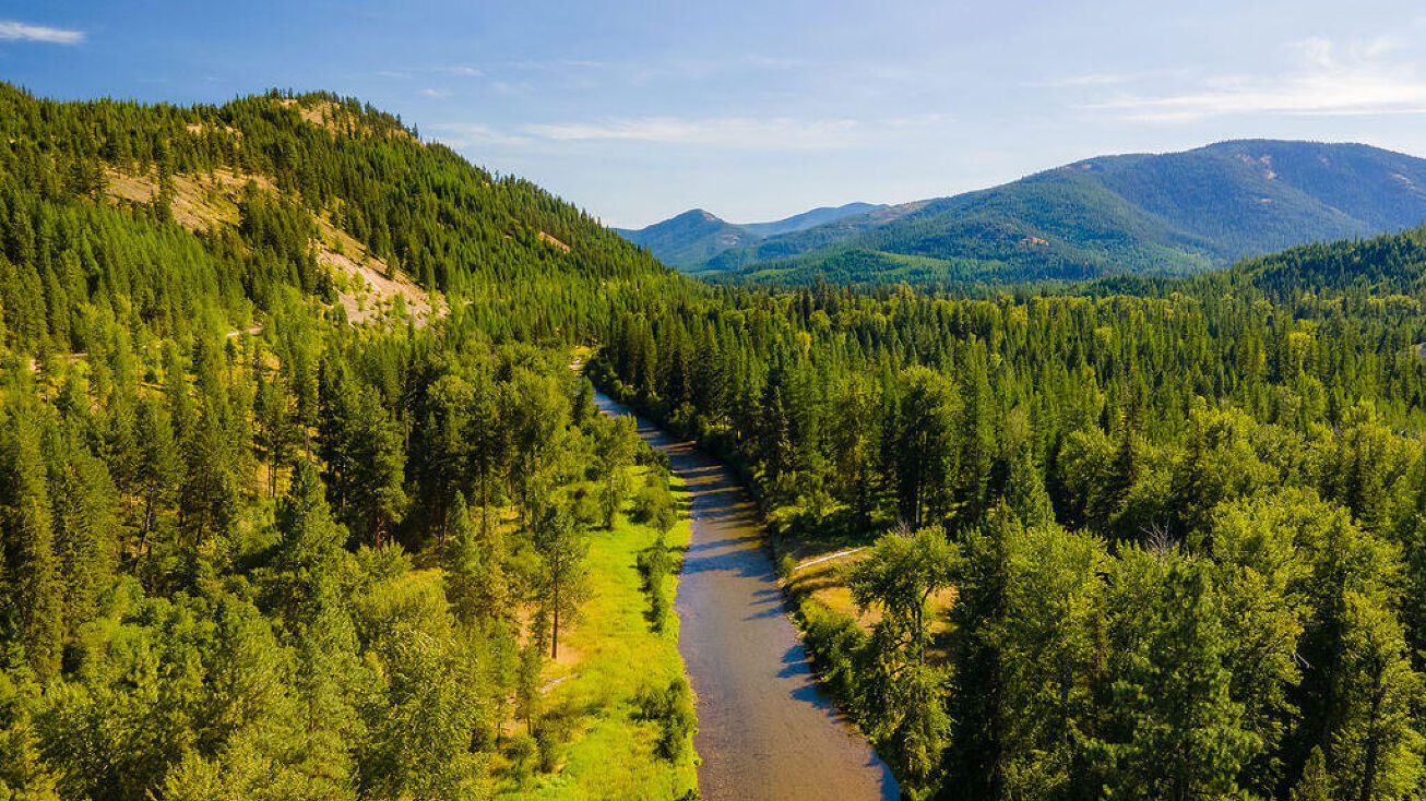 10 Either Way, Libby, MT 59923 Land for Sale 10 Either Way