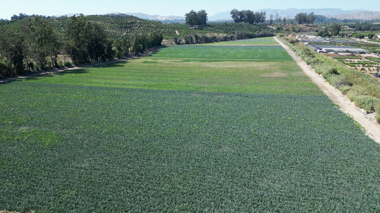 Grimes Canyon Rd, Moorpark, CA 93021