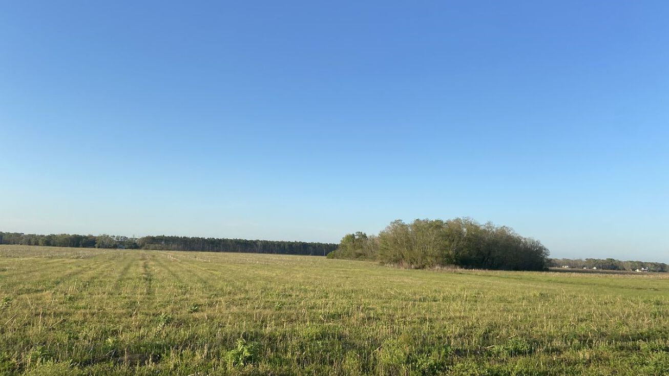 Co Rd 65, Foley, AL 36535 Land for Sale 0 County Road 65