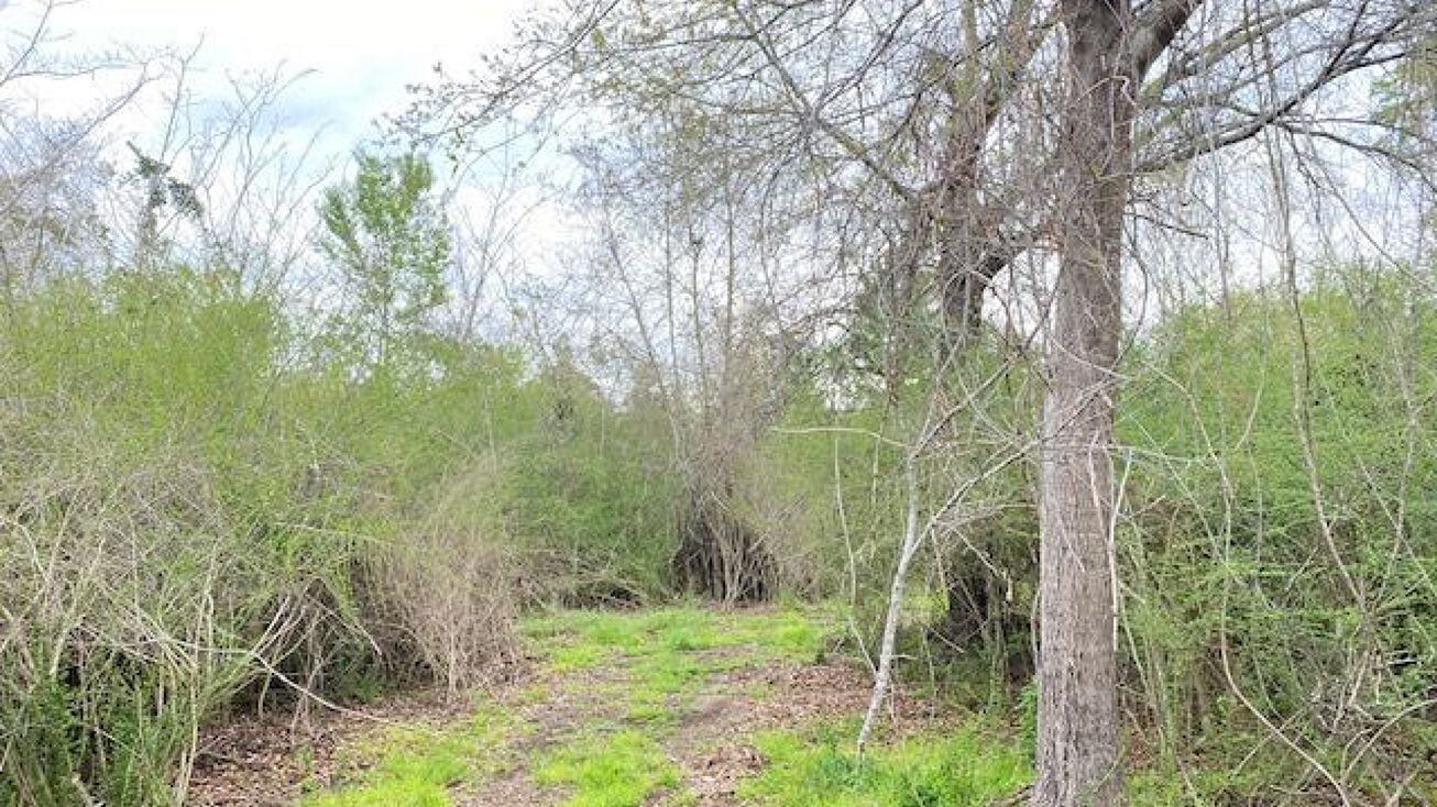 16108 Old Pierce Rd, Fairhope, AL 36532 Land for Sale 16108 Old