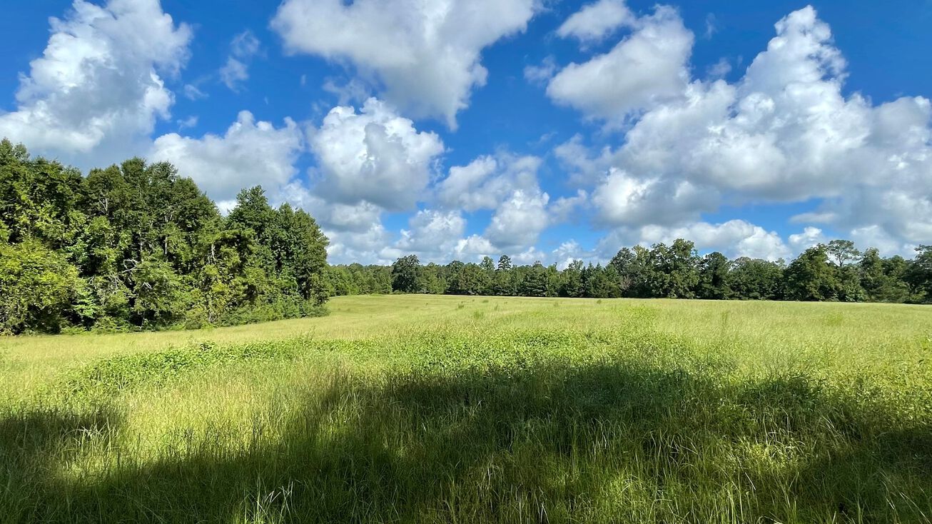 5802 Mt Ida Rd, Luverne, AL 36049 Land for Sale CRENSHAW COUNTY 101