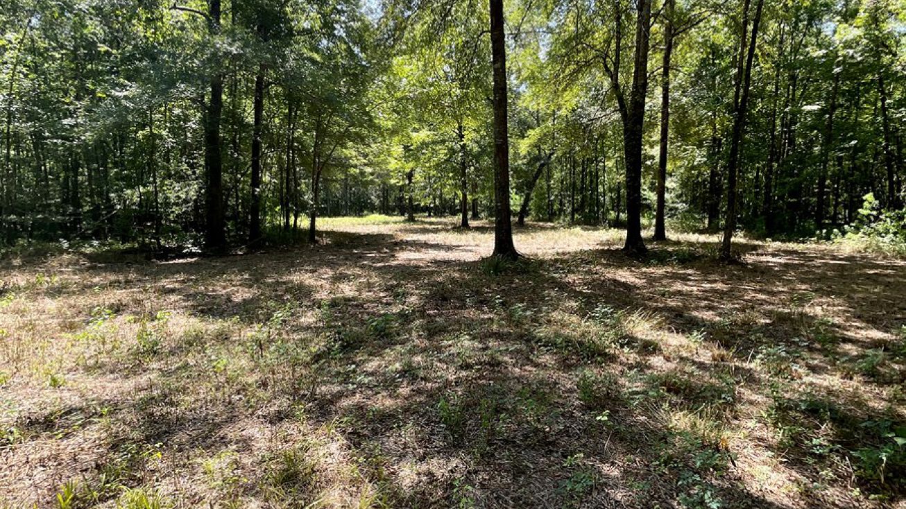 4700 Penn Rd, Montgomery, AL 36116 Land for Sale Hunting Land in Montgomery County