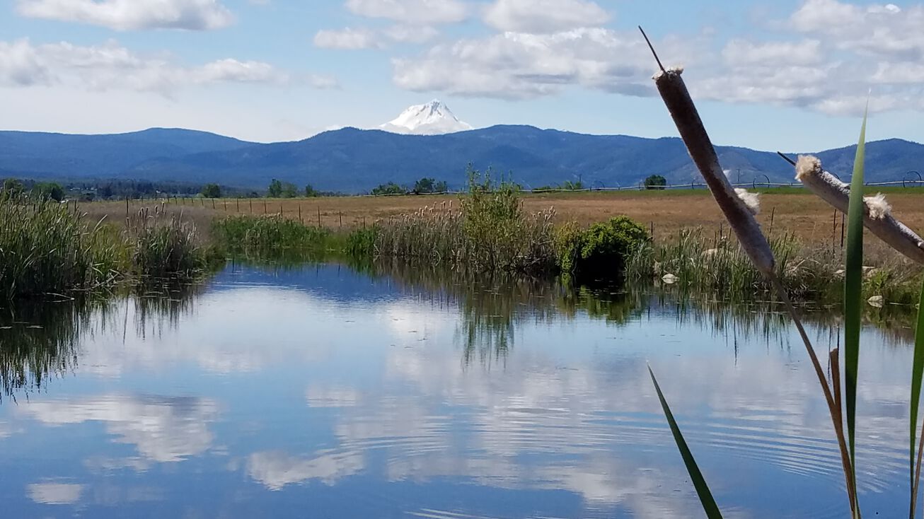 Wamic Market Rd, Tygh Valley, OR 97063
