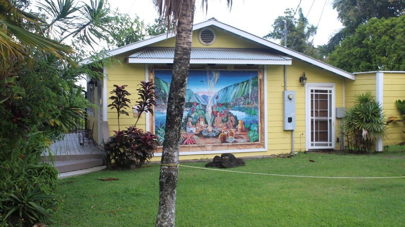 453684 HonokaaWaipio Rd, Honokaa, HI 96727 Mixed Use Property for