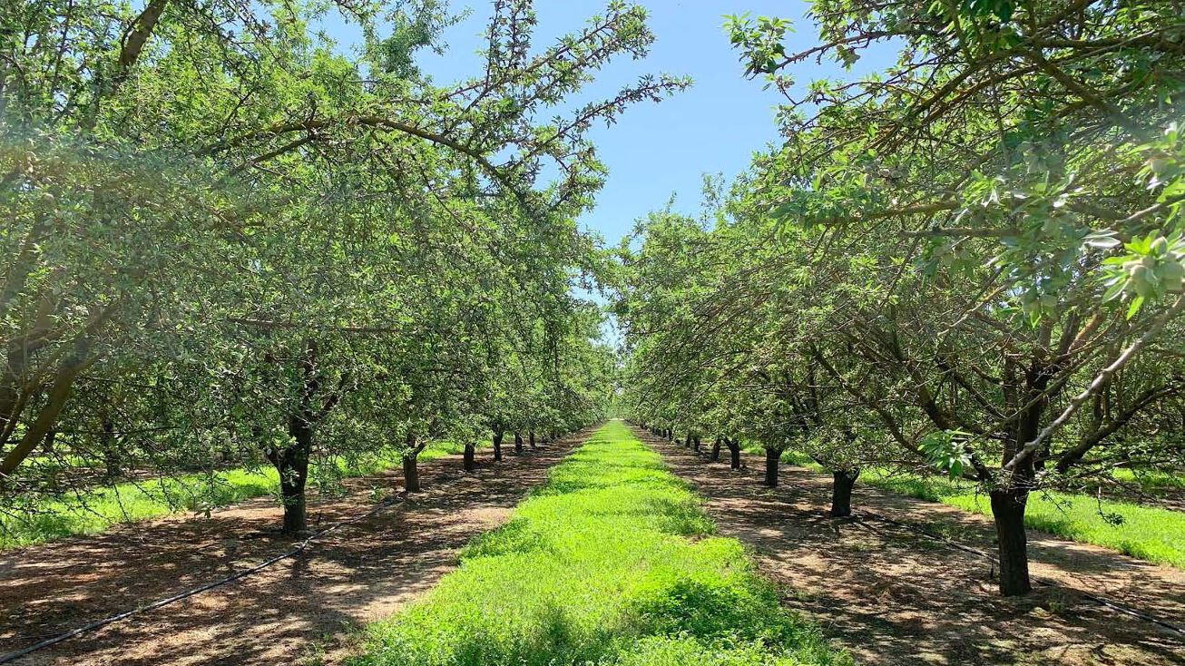 Perkins Ave, McFarland, CA 93250