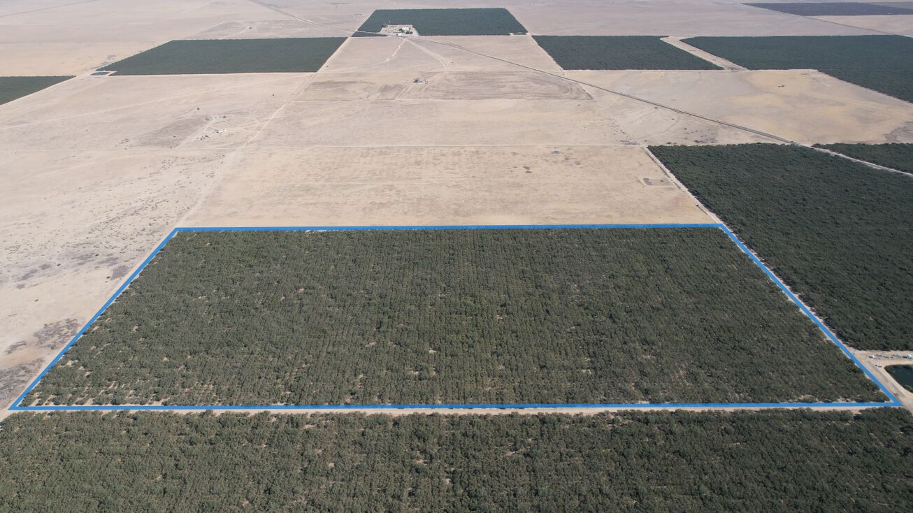 CA33, Lost Hills, CA 93249