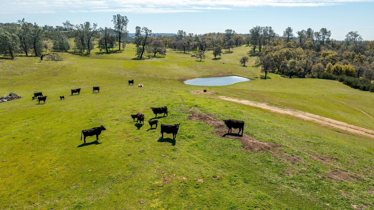 13012 CA124, Ione, CA 95640