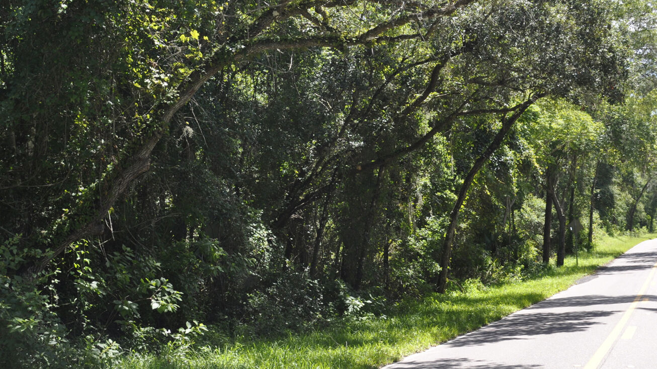 Beresford Rd, DeLand, Florida 32720, DeLand, FL 32720 Land for Sale