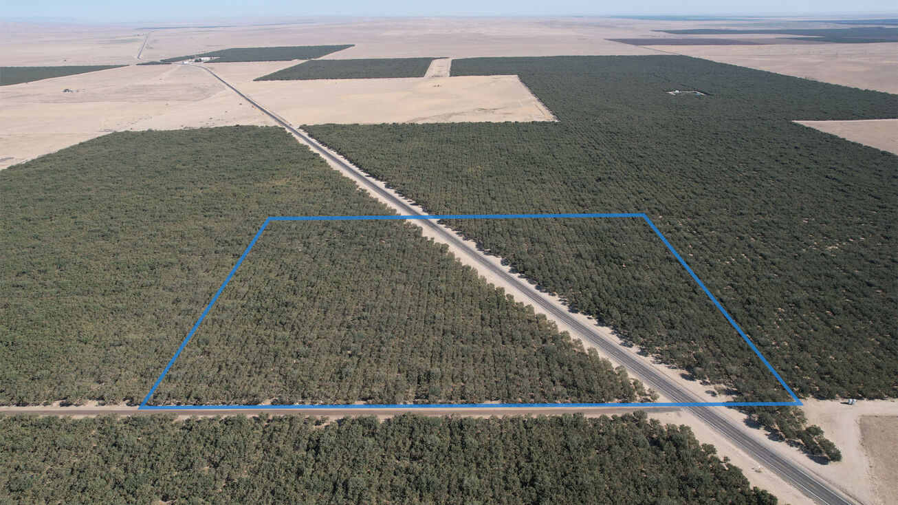 12000 CA33, Lost Hills, CA 93249