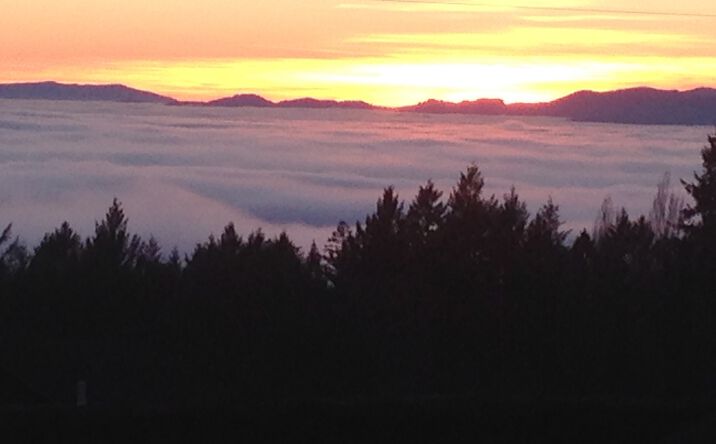 Pictures of Land property located at 29920 NE Mountain Top Rd, Newberg, OR 97132 for sales - image #1