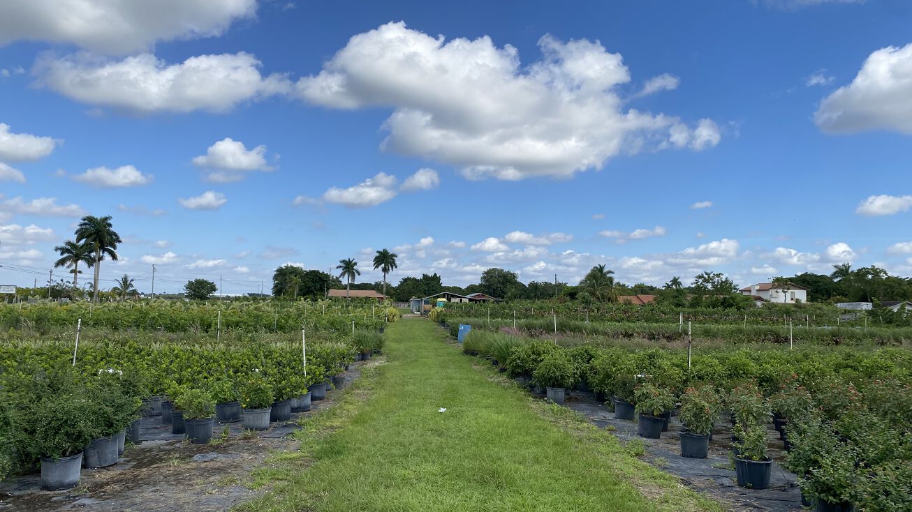 20791 SW 187th Ave, Miami, FL 33187 Land for Sale Laying Roots