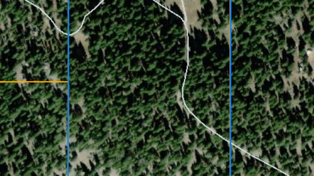 Lot 62 Buckhorn Road, Helmville, MT 59843
