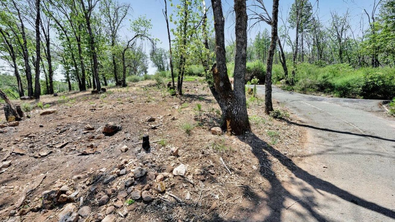 11986 Loch Lomond Rd, Loch Lomond, CA 95461