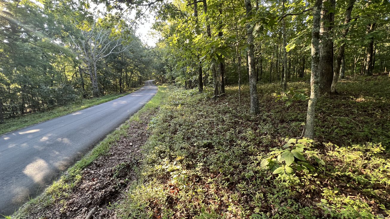 John Kay Rd, Taylorsville, GA 30178 Land for Sale 000 John Kay Road, 5
