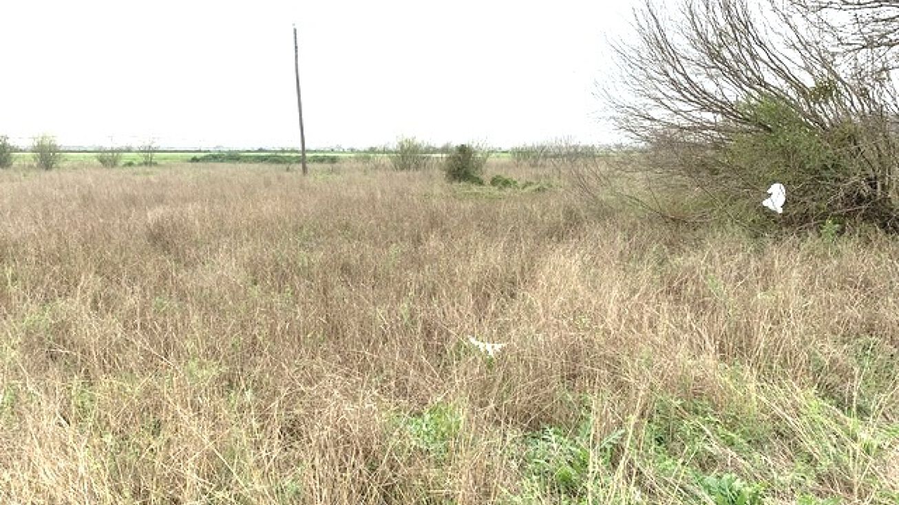 W 117 w FM117, Dilley, TX 78017 Land for Sale W 117 w FM117