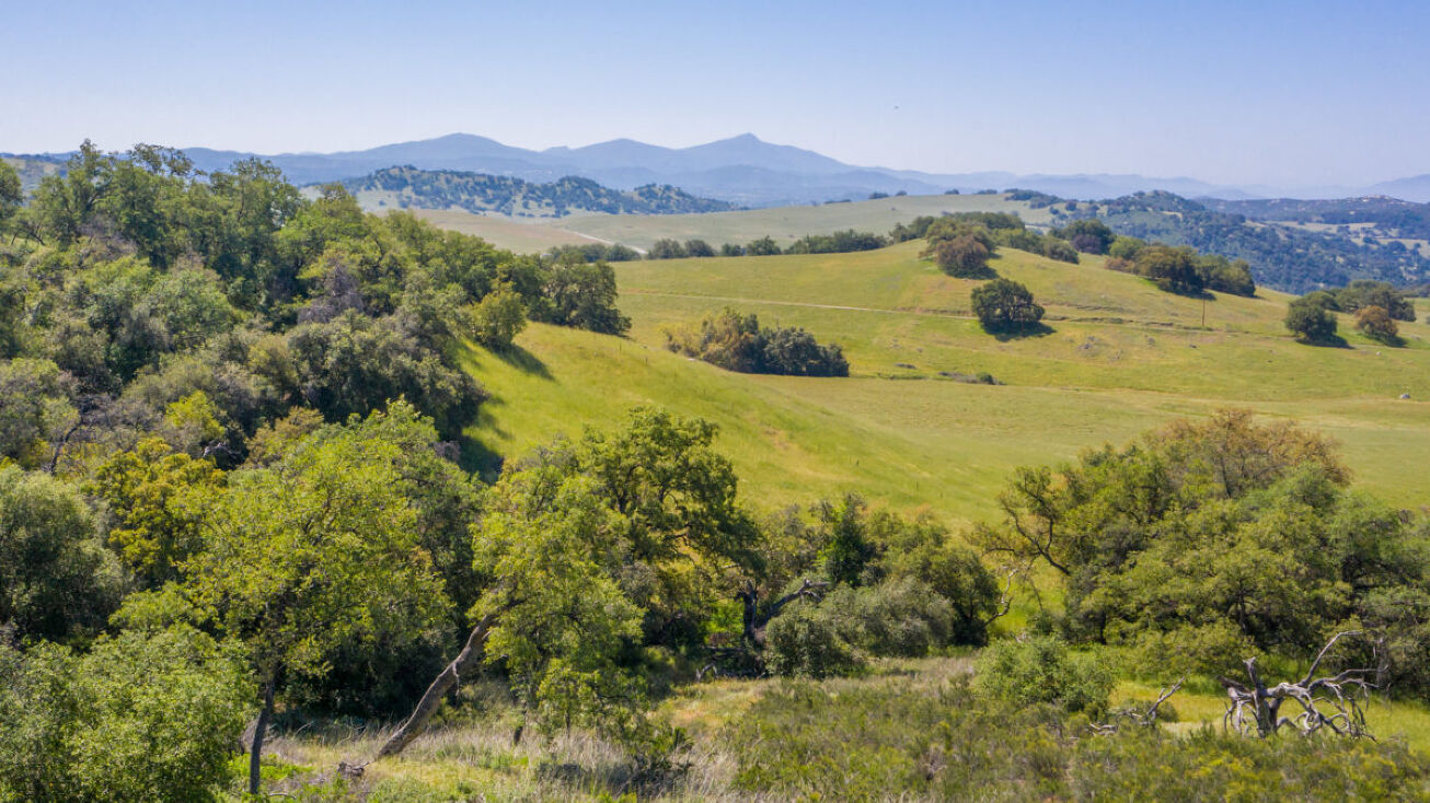 25235 Mesa Grande Rd, Santa Ysabel, CA 92070 Land for Sale 25235