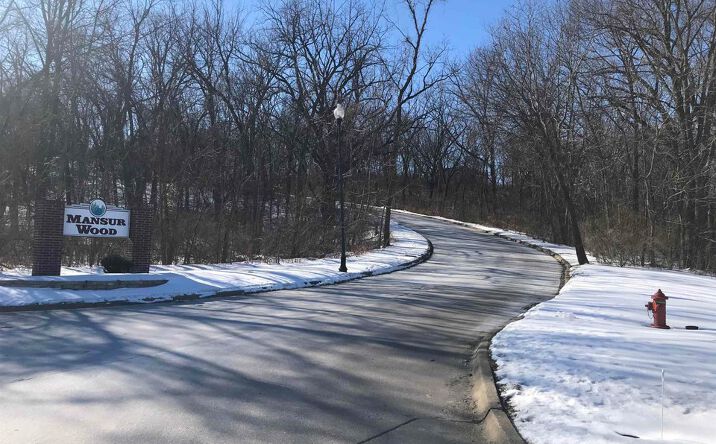 Pictures of Land property located at 900 Rebecca Ln, Carbon Cliff, IL 61239 for sales - image #1