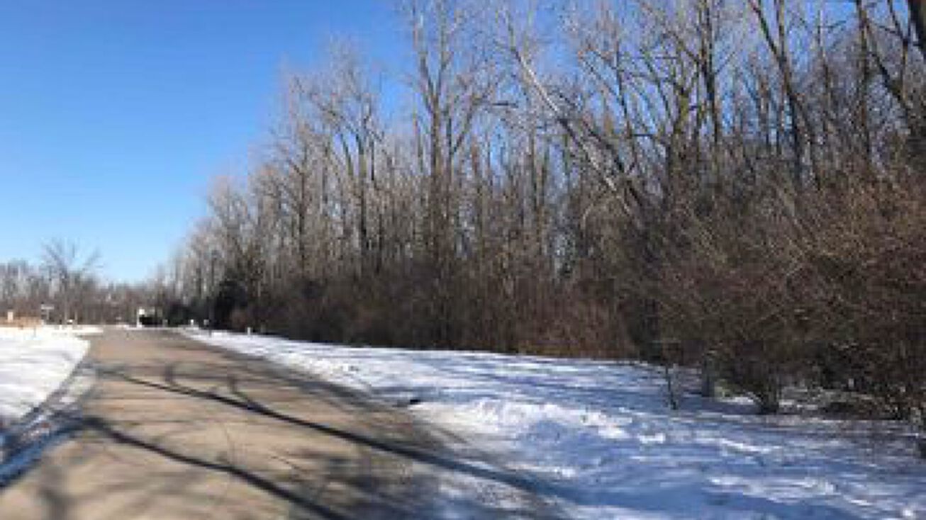 813 Rebecca Pl, Carbon Cliff, IL 61239